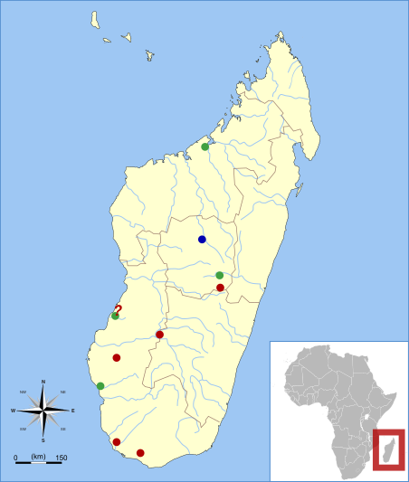 Файл:Plesiorycteropus subfossil range map.svg
