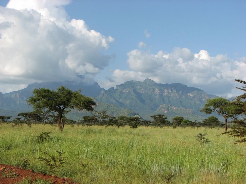 Файл:Mount Khadam, Uganda.JPG