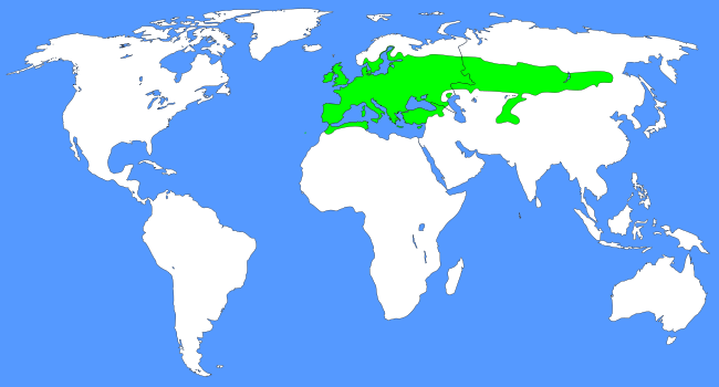 Файл:Odontites range map.svg