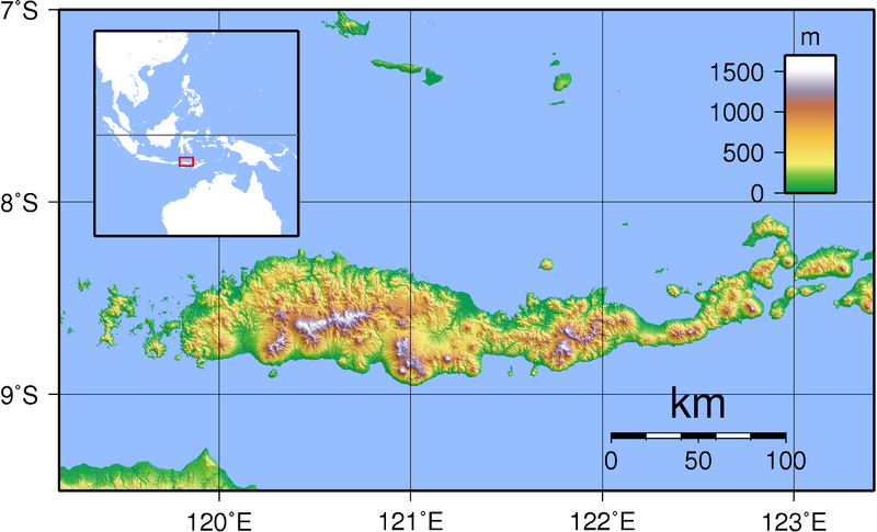 Файл:Flores Topography.png