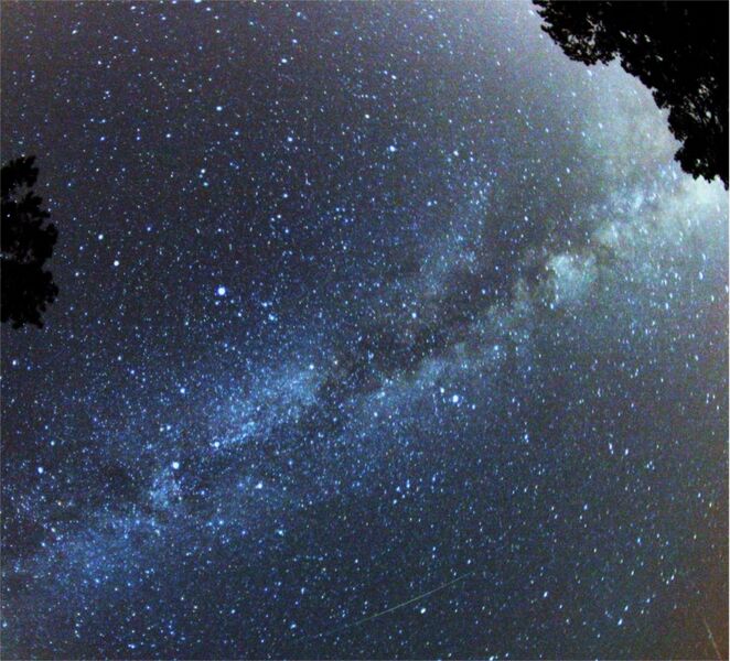 Файл:Perseid Meteor.jpg