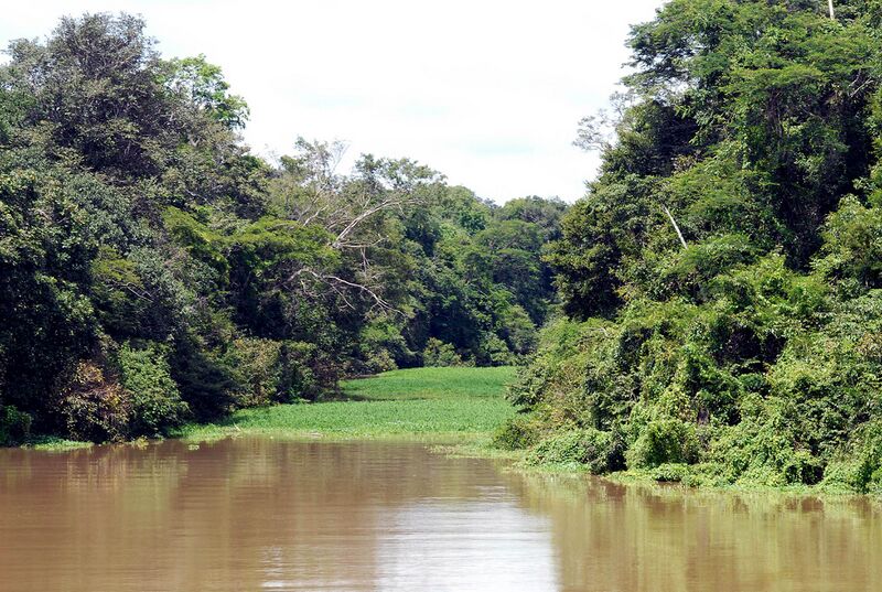 Файл:Rio Tefe.jpg