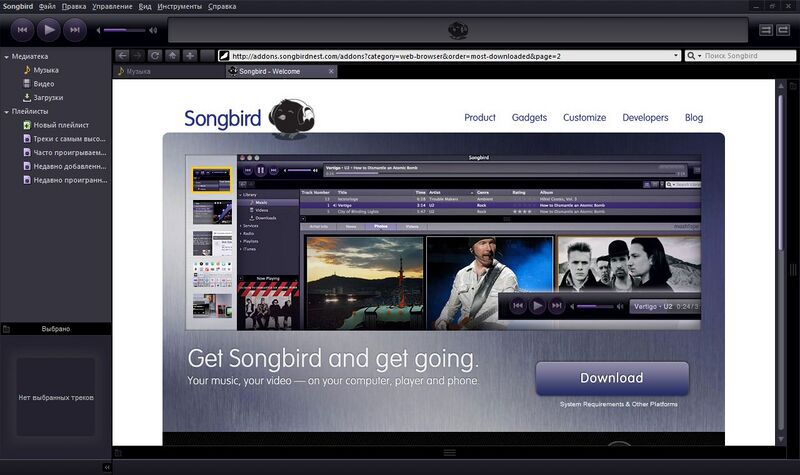 Файл:Songbird.JPG