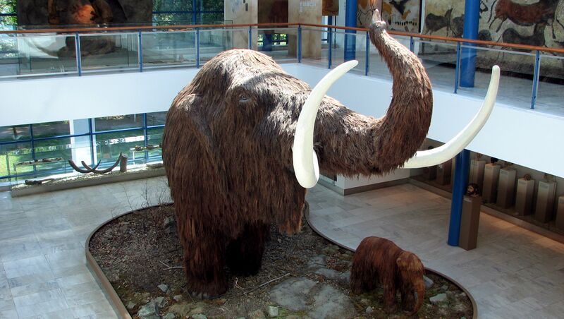 Файл:Mammoth model I.JPG