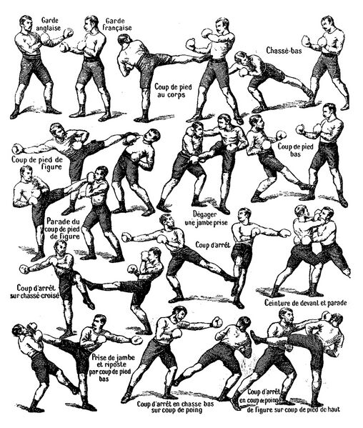 Файл:Savate-technics.jpg