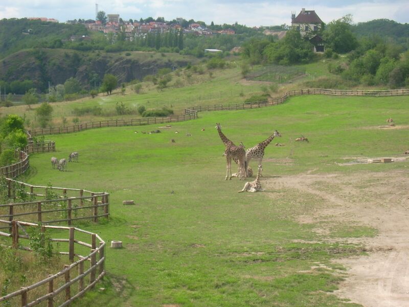 Файл:Zoo Praha.JPG