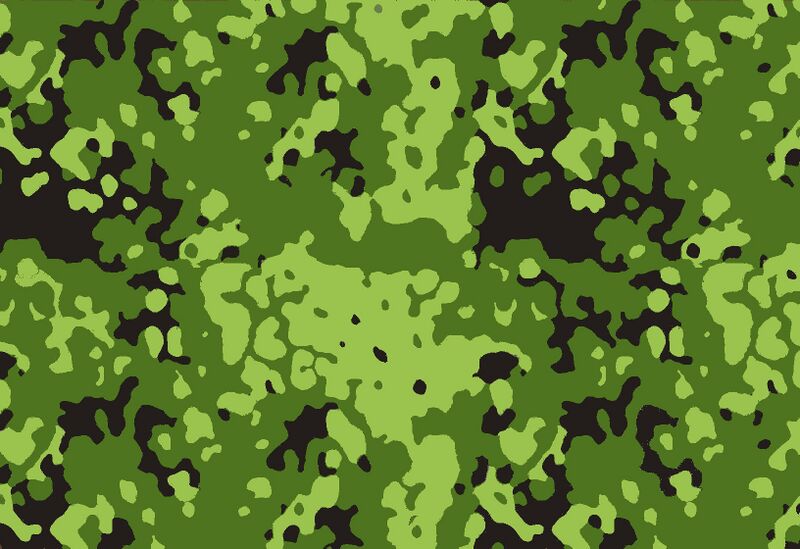 Файл:M84camo.jpeg