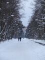 Миниатюра для версии от 09:26, 20 января 2024