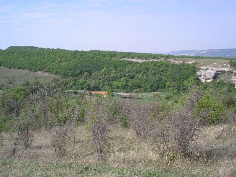 Файл:Baltachokrak 1.JPG