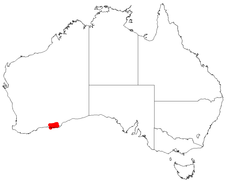 Файл:Hakea bicornataDistMap13.png