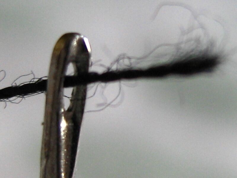 Файл:Needle & Thread..jpg