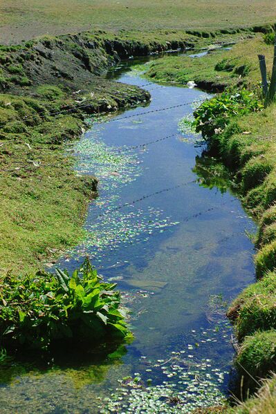 Файл:Rio Chacachimpa.jpg