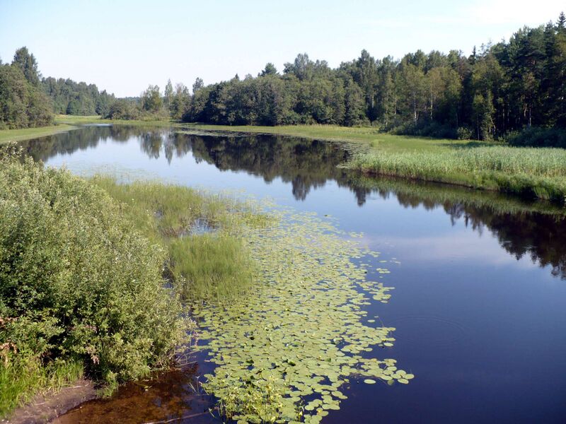Файл:RiverPeretnaNearItsSource.JPG