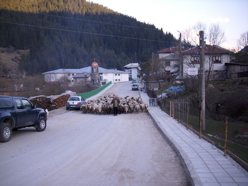 Файл:Trigrad.JPG