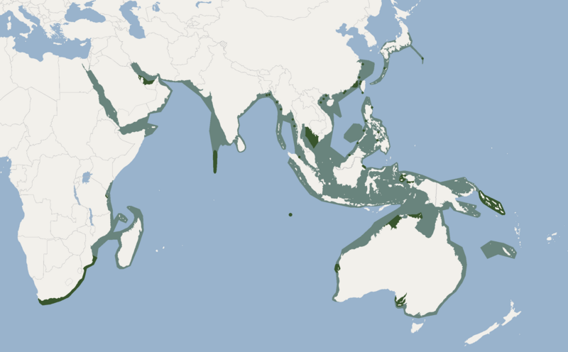 Файл:Distribution of Tursiops aduncus.png