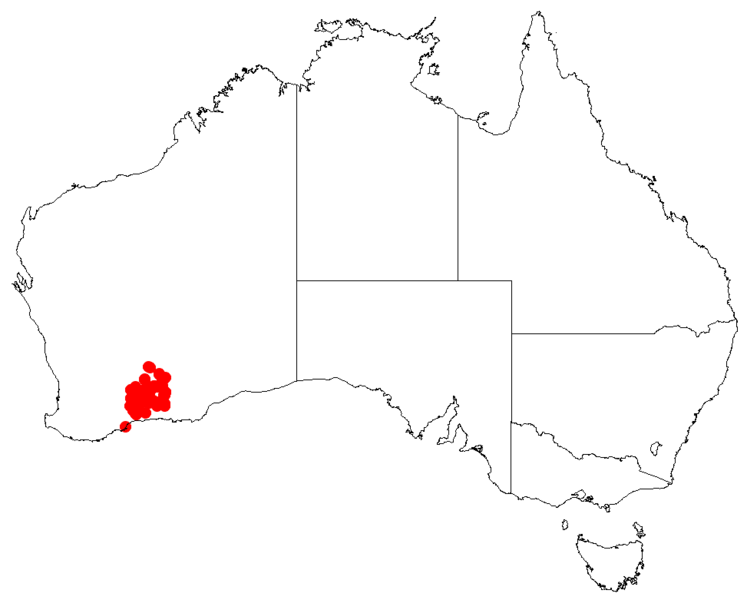 Файл:PersooniahelixDistMap33.png