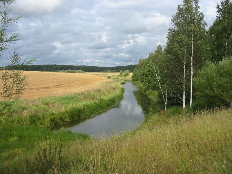 Файл:Tarvasjoki.JPG
