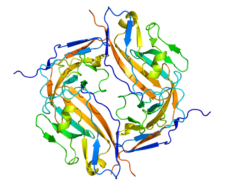 Файл:Protein CD47 PDB 2JJS.png