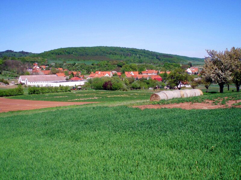 Файл:Wickerode1.jpg