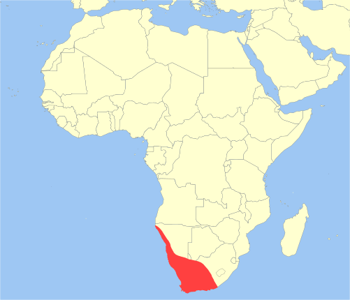 Файл:Macroscelides proboscideus distribution.svg