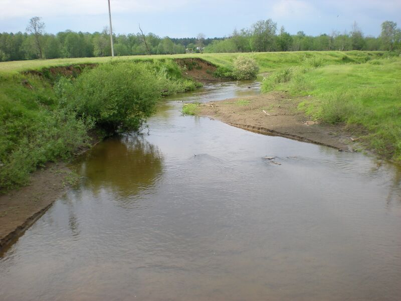 Файл:Pyzhman river.jpg