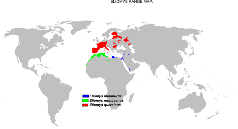 Файл:Eliomys range map.png