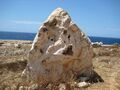 Валун вулканического происхождения с отпечатками кораллов
