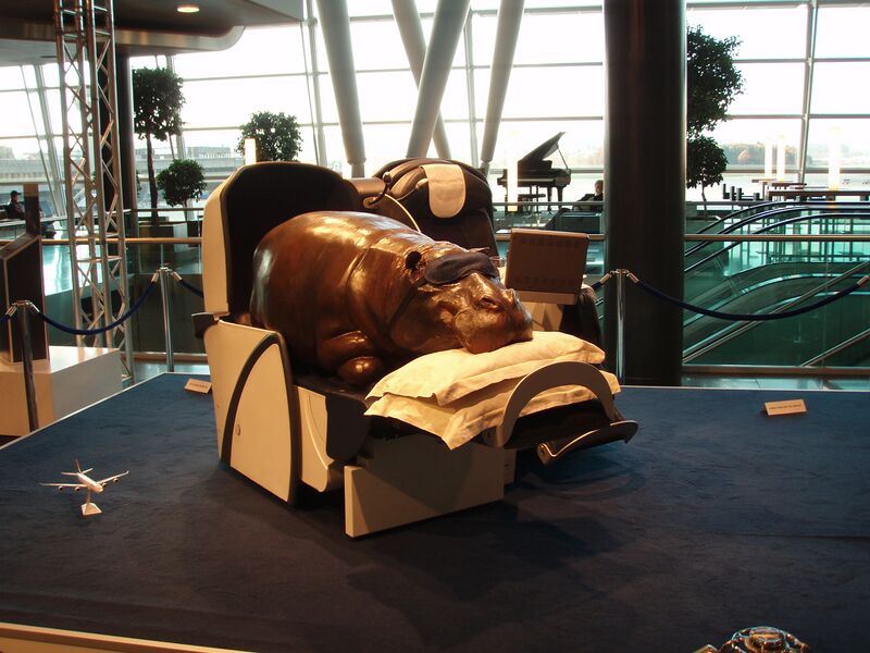 Файл:SAA BusinessClass.jpg