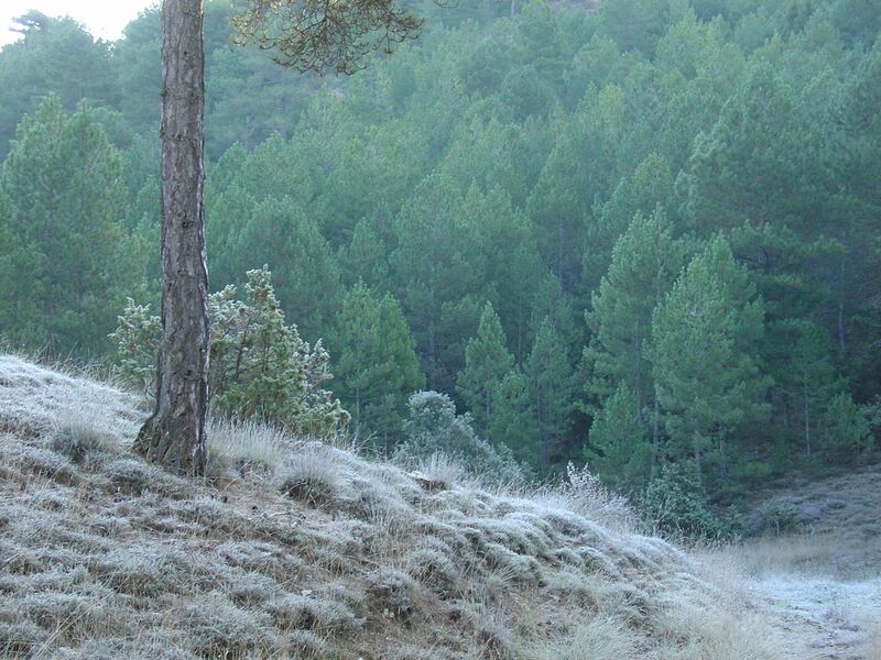 Файл:Sierra Valdemeca Cuenca.JPG