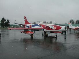 T-1 Воздушных сил самообороны Японии, 2004 год.