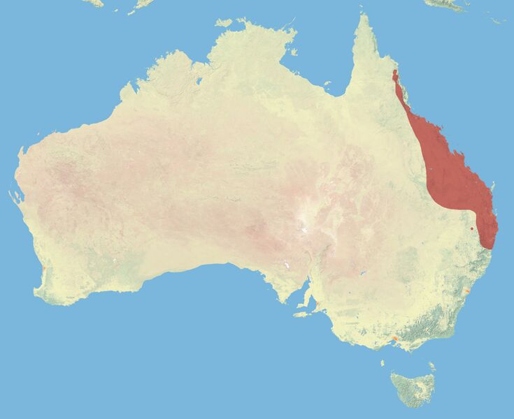 Файл:Whiptail Wallaby Range.JPG