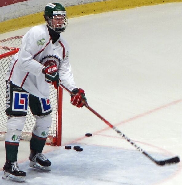 Файл:Rasmus Dahlin.jpg