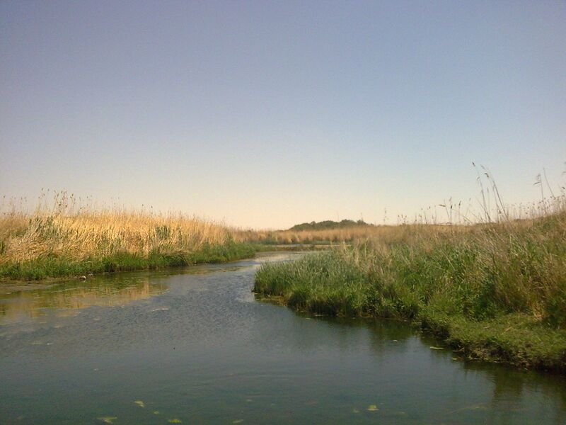 Файл:Azraq view.jpg