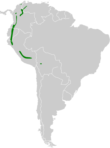 Файл:Ramphomicron microrhynchum map.svg