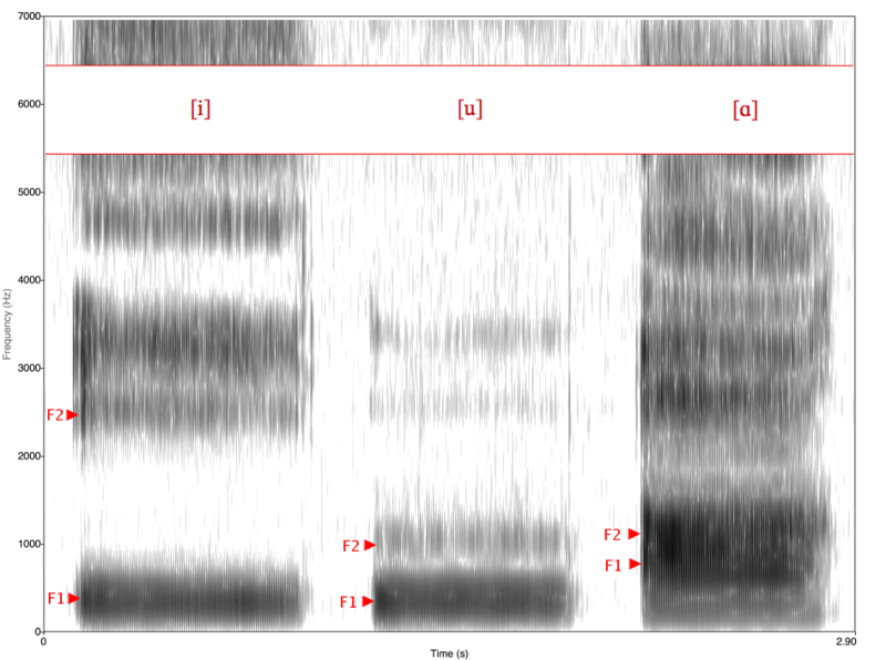 Файл:Spectrogram -iua-.png