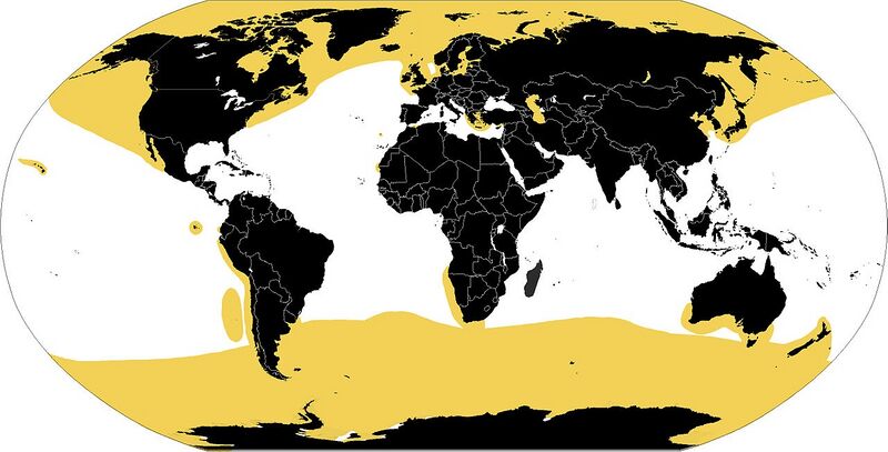 Файл:Pinniped range.jpg