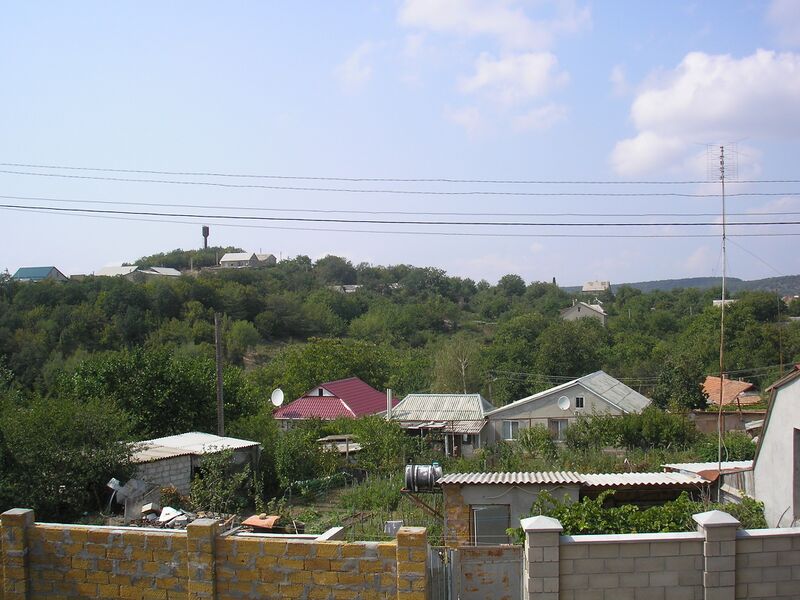 Файл:Rodnoe 8.JPG