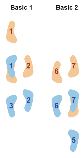 Файл:Salsa Basic Steps, LA-style.png
