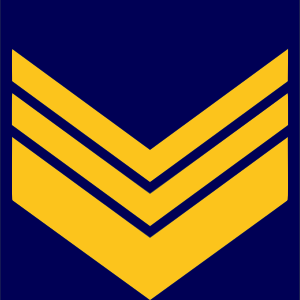 Файл:Airforce-ALB-OR-9.svg