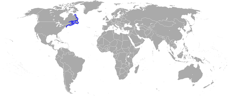 Файл:American smooth flounder distribution map.png
