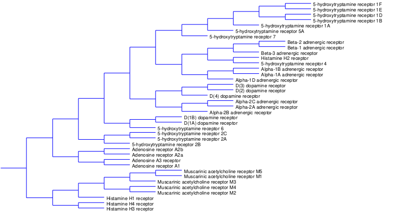 Файл:Monoamine receptor tree.svg