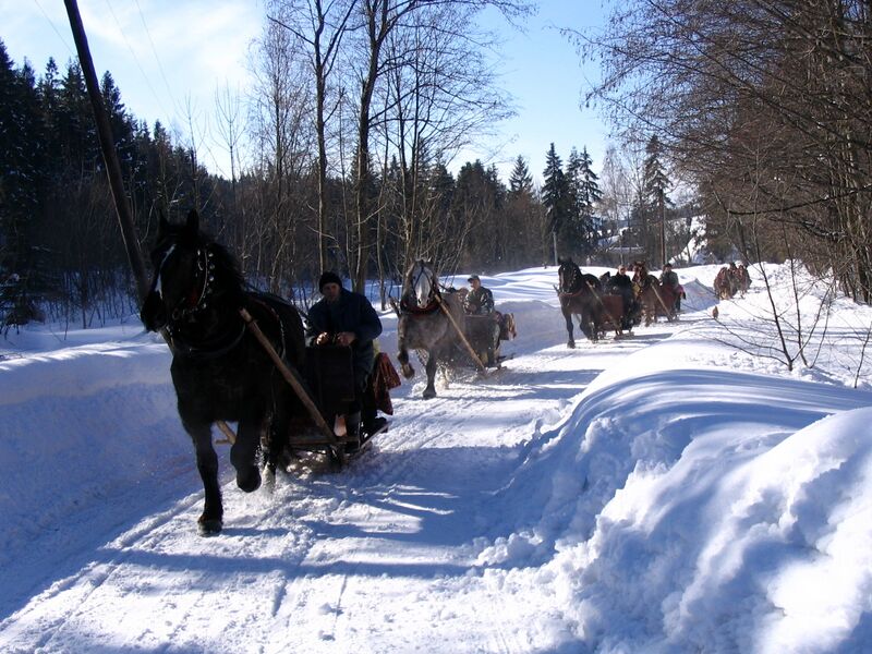 Файл:Kulig.18.2.2006.jpeg