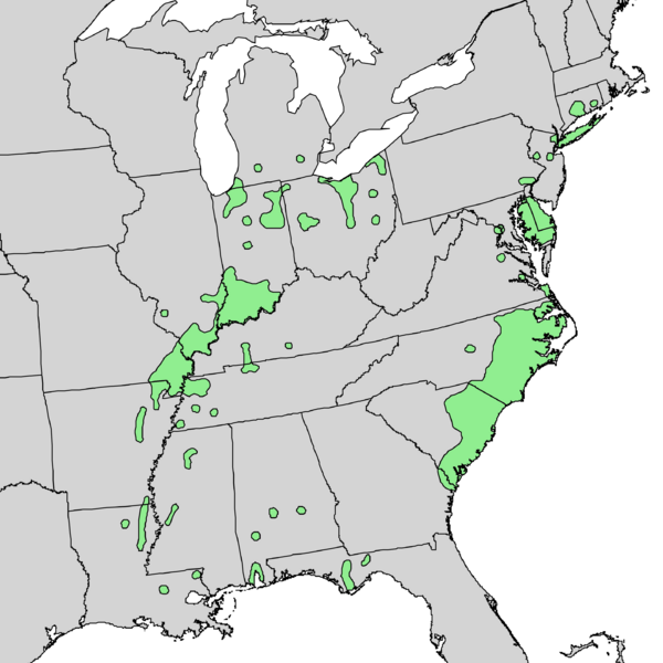 Файл:Populus heterophylla range map 2.png