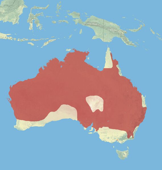 Файл:Wallaroo Range.jpg