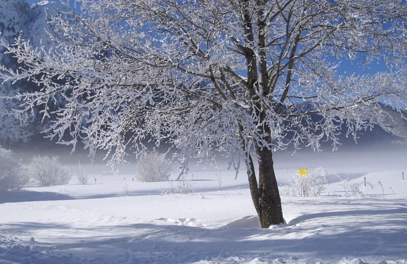 Файл:AchenseeWinter04.JPG