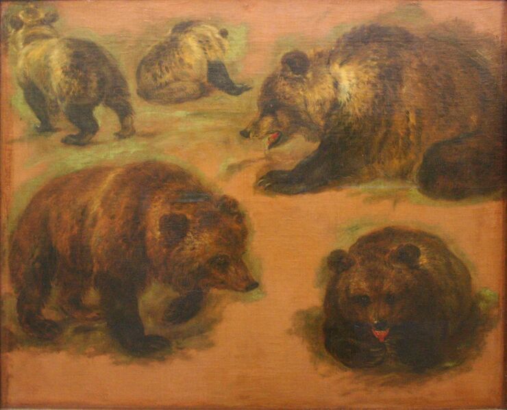 Файл:Boel-ours.JPG