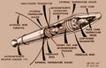 Миниатюра для версии от 06:57, 9 октября 2023