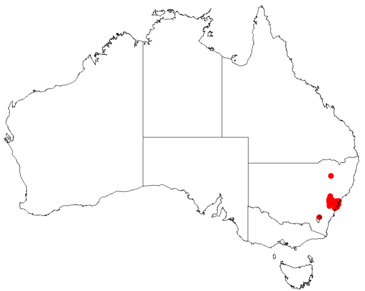 Файл:Hakea propinquaDistMap112.png