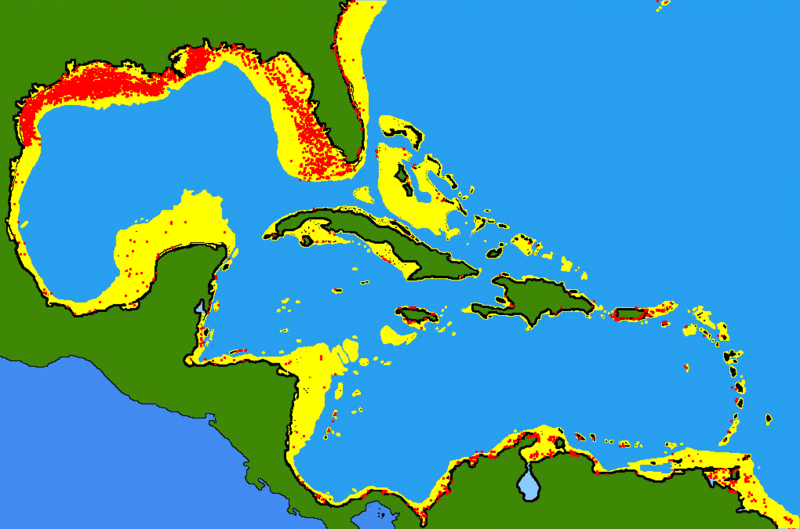Файл:Lutjanus synagris range.png