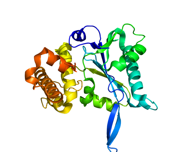 Файл:Protein PRPF8 PDB 3E9L.png